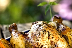 Food Portraiture